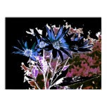 Obscure Flowers Print