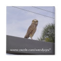 Observant Owl magnets
