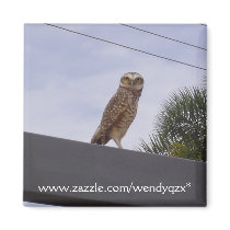 Observant Owl magnets by wendyqzx Observant Owl magnets