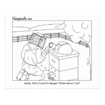 Observation Hive - Greeting Card Post Cards