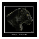 "OBSIDIAN" ~ BLACK PANTHER Art Print