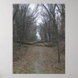 Obstacle in the Road posters