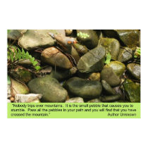Obstacles, print