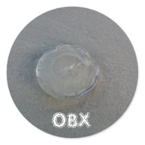 OBX Jellyfish stickers