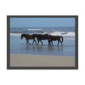 OBX postcards by dare2dream1904 OBX postcards