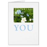 Occasion Card: Thinking of You