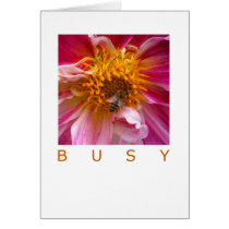 Occassion Card: Busy Bee