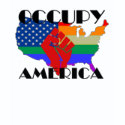 OCCUPY AMERICA