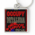Occupy Petaluma OWS protest 99 strong poster Key Chain