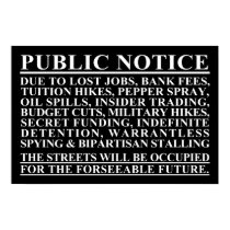 Occupy Public Notice Poster posters
