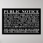 Occupy Public Notice Poster