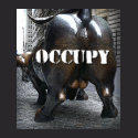 OCCUPY (A BULL'S ASS)