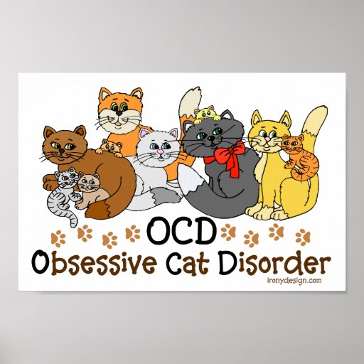 OCD Obsessive Cat Disorder Poster Zazzle