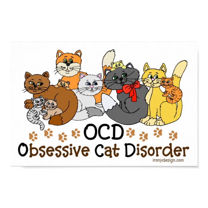 OCD Obsessive Cat Disorder Poster