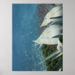 ocean agave poster