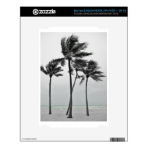 Ocean and Palms Skin For NOOK