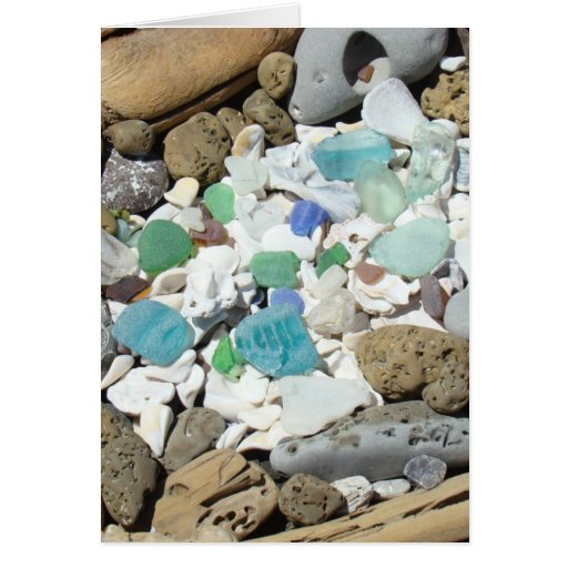 Ocean Beach Sea Glass Seashells Fossils Cards