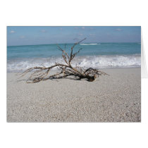 ocean beach wood cards