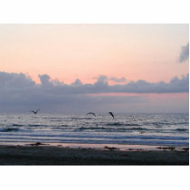 Ocean Beaches Sunset Clouds Palm Trees photo sculptures by lifesphere Ocean Beaches Sunset Clouds Palm Trees photo sculptures
