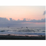 Ocean Beaches Sunset Clouds Palm Trees photo sculptures