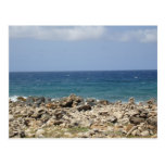 Ocean Beauty Postcard