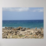 Ocean Beauty Posters