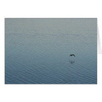Ocean bird cards