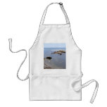Ocean Bird Rock Beach Tidepools Water Aprons