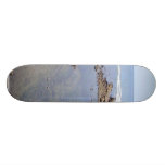Ocean Bird Rock Beach Tidepools Water Custom Skate Board