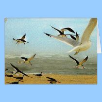OCEAN BIRDS cards