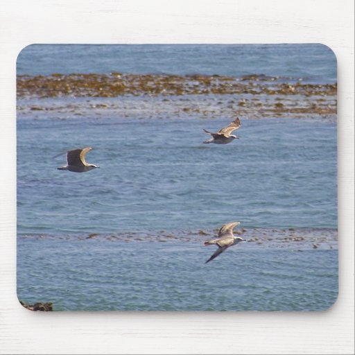 Ocean Birds Seagulls Seaweed Mousepads