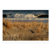 Ocean City Dunes with Waves Post Cards