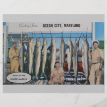 Ocean City, Maryland Home Of The White Marlin, Vin Personalized Flyer