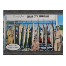 Ocean City, Maryland Home Of The White Marlin, Vin Postcards