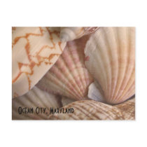 Ocean City, Maryland Postcard