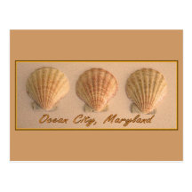 Ocean City, Maryland Postcard