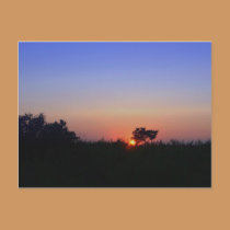 OCEAN CITY MD postcards