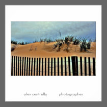 ocean city posters