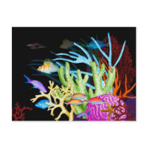 Ocean Colors Postcard