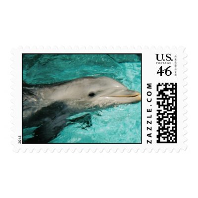 ocean dolphin Postage