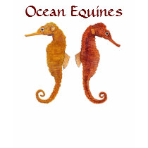 Ocean Equines Top t-shirts by thomglace Ocean Equines Top t-shirts