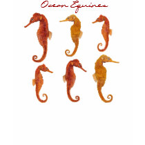 Ocean Equines t-shirts by thomglace Ocean Equines t-shirts