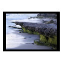 Ocean erosion bringer of new life posters by art_prints_posters Ocean erosion bringer of new life posters