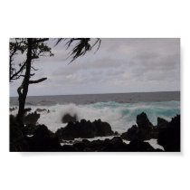 Ocean Expression posters