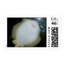 Ocean Faces Stamps