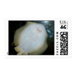 Ocean Faces postage