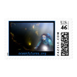 Ocean Futures Society Dive Team Postage Stamp