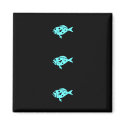 Ocean Glow_Aqua Blue Grouper magnets