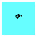 Ocean Glow_Black-on-Aqua Blue Grouper posters
