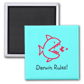 Ocean Glow_Darwin Rules! magnet